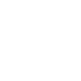 操一操正在播放"